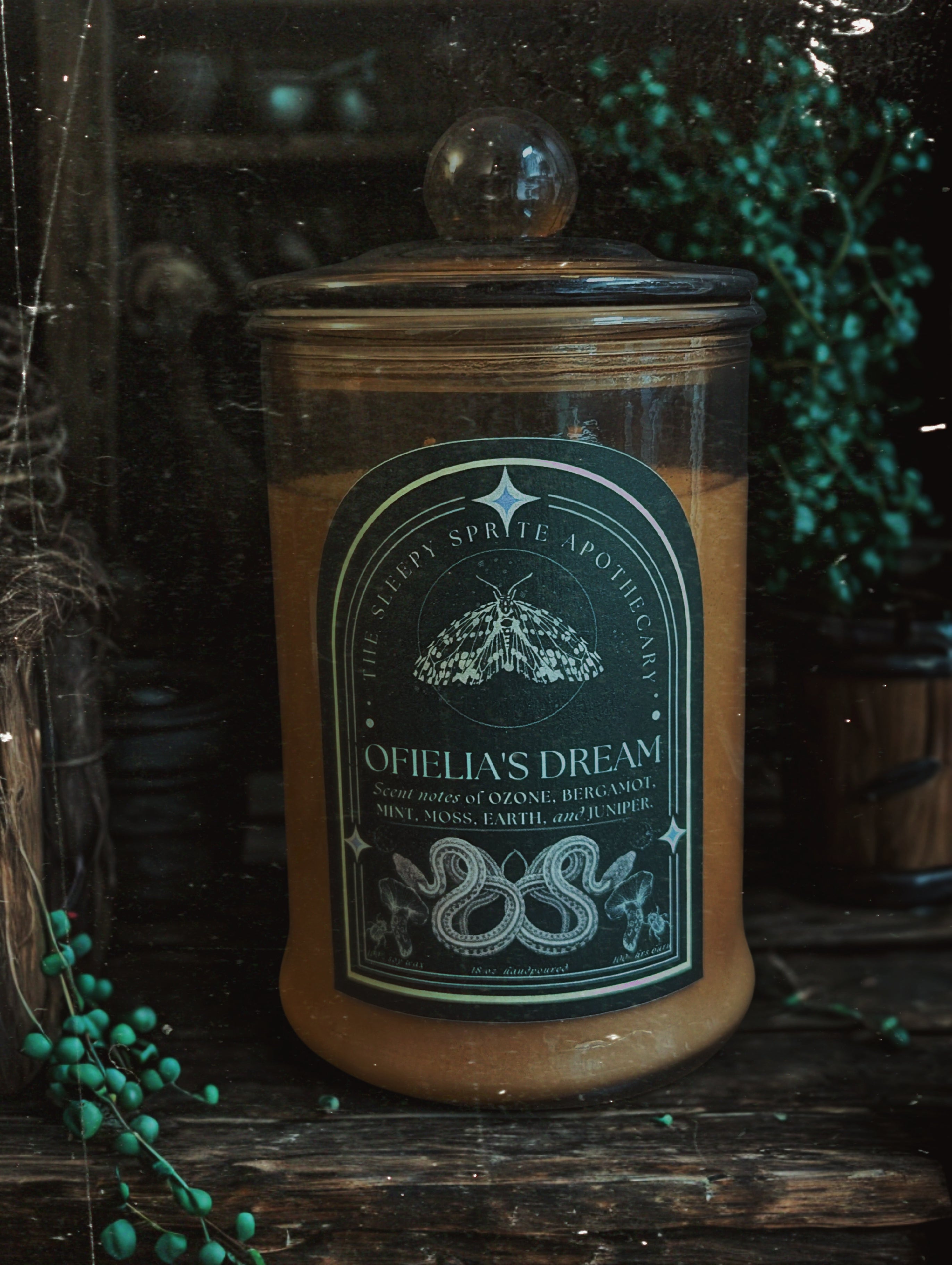 Candle jar labeled 'Ophelia's Dream' with decorative elements on a dark background. Witchy dark cottagecore aesthetic. Pan's Labyrinth inspired candle.